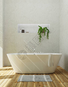 带浴缸的现代浴室豪华公寓图片
