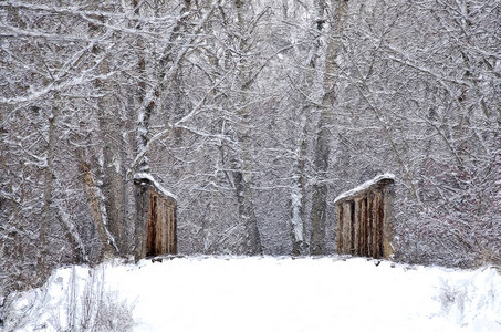 白雪覆盖的桥边冬季森林印刷品图片