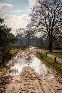 泥泞小路上被洪水淹没的土地和水坑图片