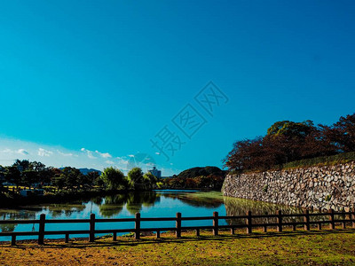 在日本的森林或公园风景中蓝天图片