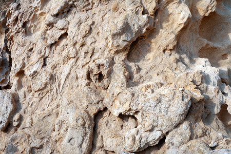 地表砂岩里海的岩石海岸图片