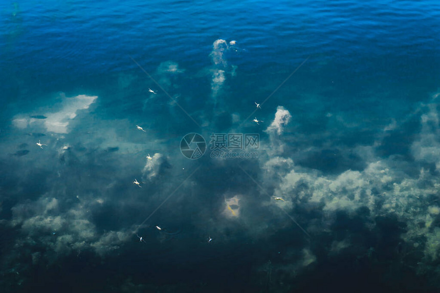 深蓝色海底背景抽象图案纹理和颜色水生物海洋生活背景自然图片