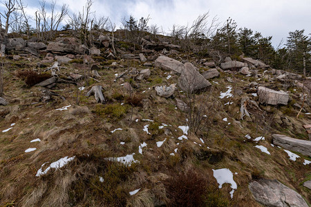 冬季黑森林Hornisgrinde最高点的风景图片