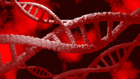 红色背景上的DNA双螺旋结构的图片