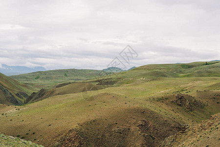 温和的红山丘穿过山谷畜牧场干旱图片