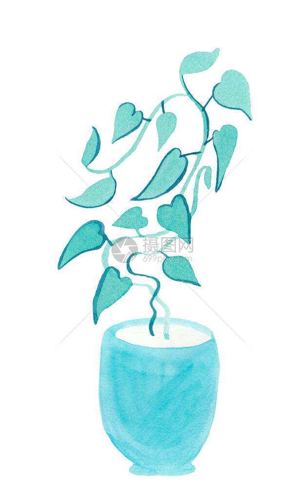 蓝色AquaMenthe和PhantomBlue的水彩藤本植物在白色隔离背景上绘制的家庭植物手绘插图贴纸卡片印刷品包装图片