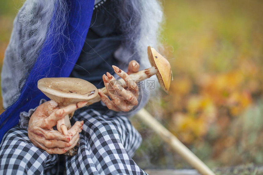 在森林的秋天塑料娃聚合粘土巫婆与图片