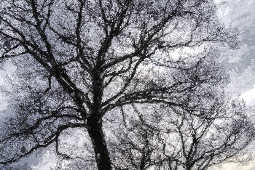 寒冷的翻覆晨报黑暗奥米努斯硅树的印图片