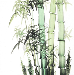国画竹背景图片