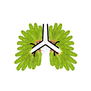 以人类肺形成的细枝松树针头概念上图片