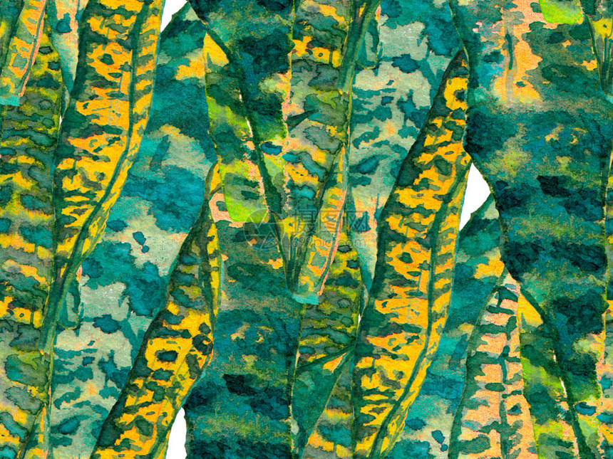夏季花卉背景植物森林插图橙色和绿色水彩叶无缝图案复古生态报告异国情调的泳装设计图片