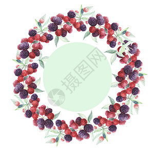 黑莓图案圆框水彩手绘印花纺织浆果水树叶枝春天夏复古果酱汁素食主义天然图片