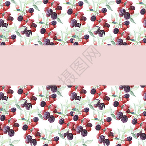 黑莓图案无缝圆框水彩手绘印花纺织浆果水树叶枝春夏季复古果酱汁素食主义天然背景图片