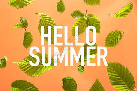 你好夏天写在不同大小的新鲜春天纹理叶子在桃色飞行的背景上夏季明图片