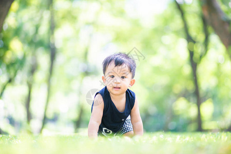 可爱的小男孩在绿色草地公园图片