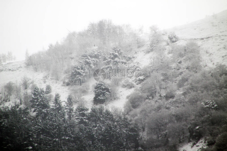 乡村雪景图片