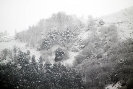 乡村雪景图片