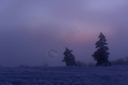在山AIPetri克里米亚的冬夜冬天美丽的蓝色时刻冬季森林和第一颗星图片