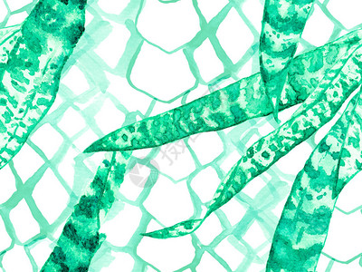 热带无缝模式夏威夷女童蛇背景植物叶片湿润印刷品原始连续花粉设计夏季水彩色纹理与异味叶玫瑰和Py背景图片