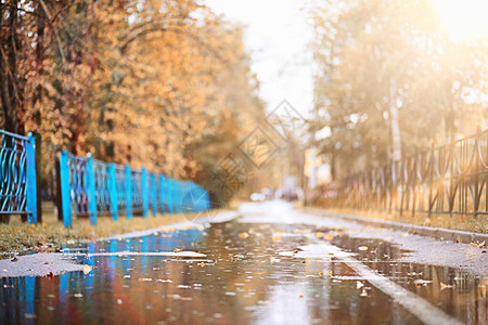 公园的秋天雨图片