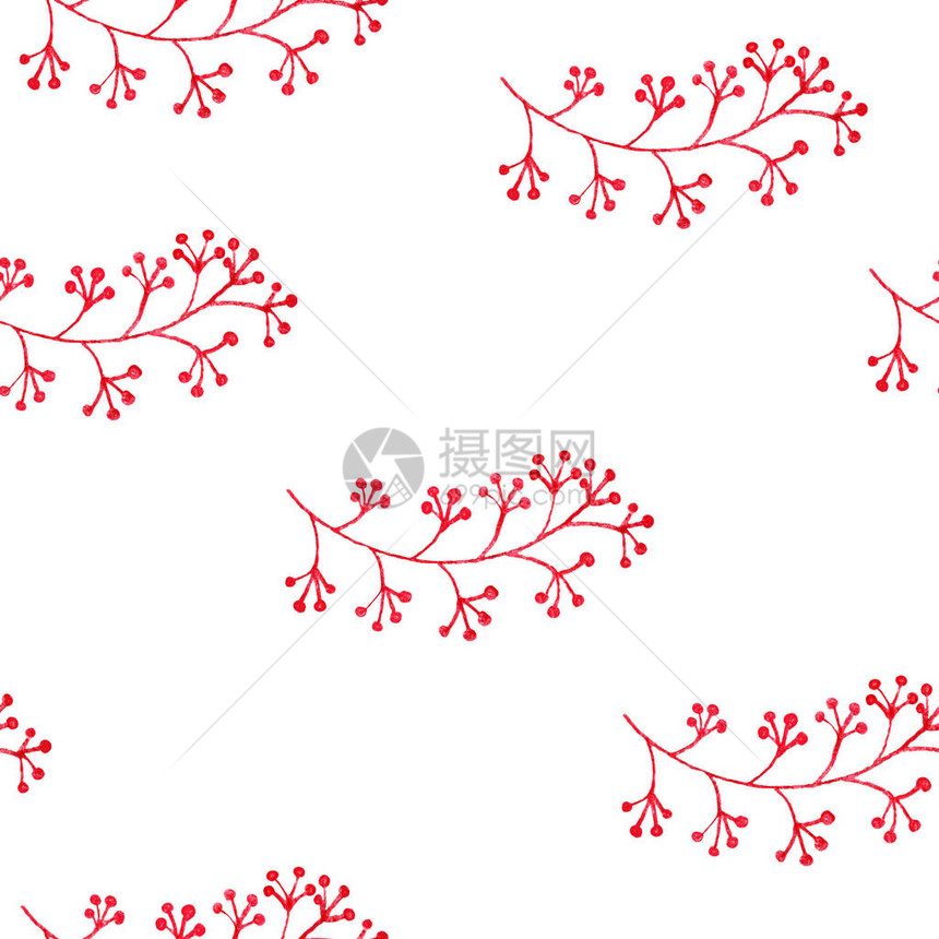 无缝模式与手绘秋季花楸浆果葡萄枝花卉质朴的装饰品红色和白色背景生态设计用于明信片剪贴簿纺图片