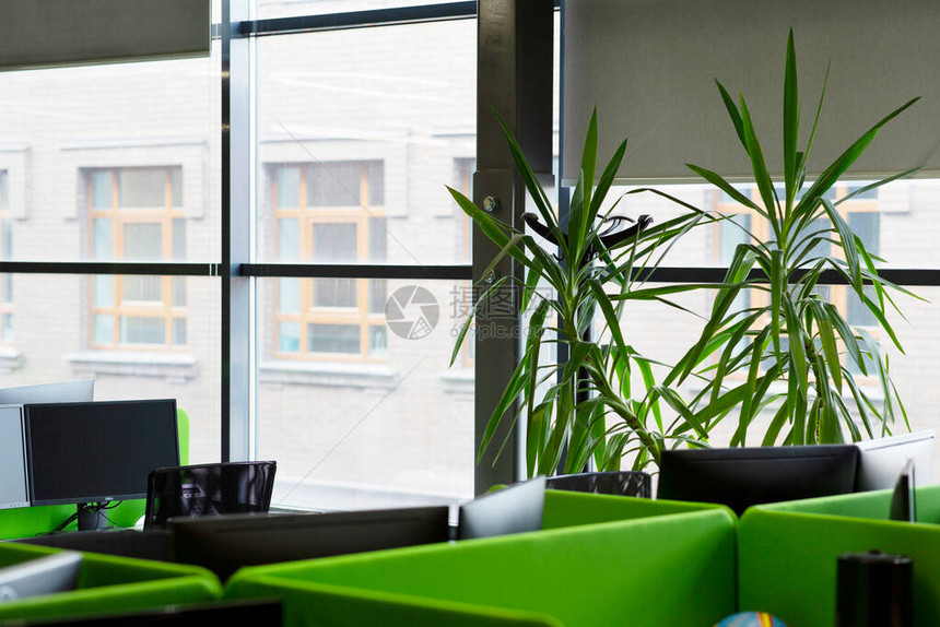 绿色办公室窗台上有绿色装饰植物现代室图片