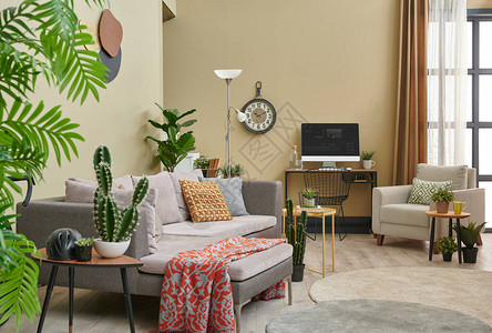 棕色客厅植物风格灰色沙发书图片