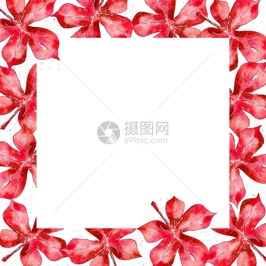 手工绘制的水彩画图红秋叶用于卡片问候邀请图片
