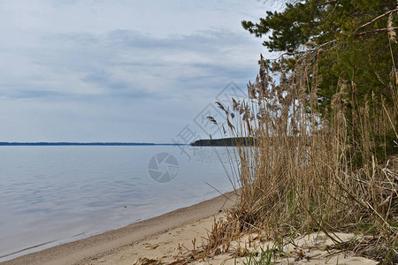 春天的伏尔加河全景图片