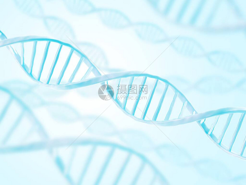 DNA结构生物技术背景摘要双螺旋3图片