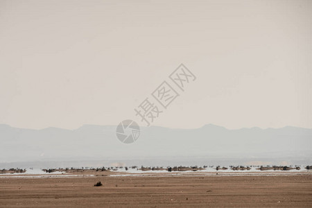 盐湖沙漠的一部分图片