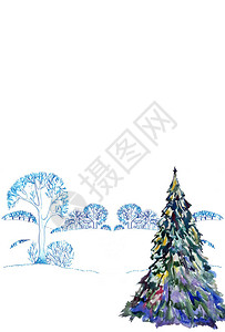 在雪覆盖森林背景下的圣诞树背景之下图片