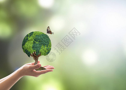 志愿者手上的绿色地球树在企业社会责任概念中实现可持续环图片