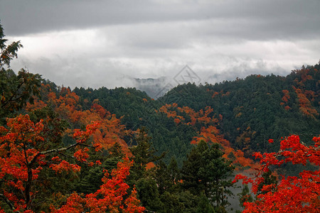 日本秋天风景日本多彩图片