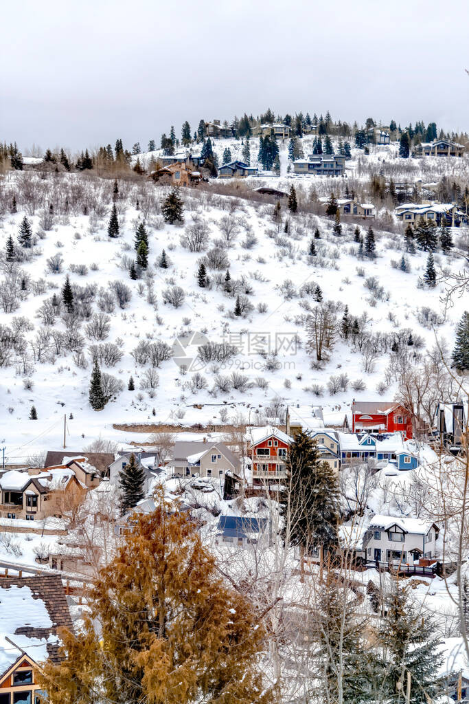 城市公园附近的雪山附近因多彩的住宅和长青而发亮图片