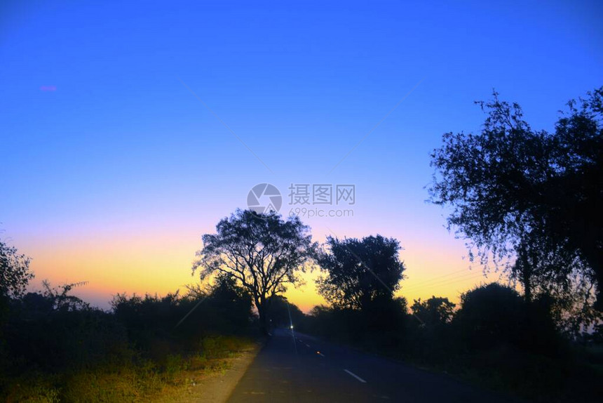 枯树枝枯树和枯枝傍晚的夕阳图片