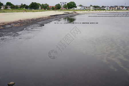 夏天在海滨沙滩上图片