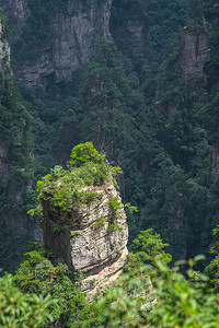 张家吉阿凡山自然公园张家杰高清图片