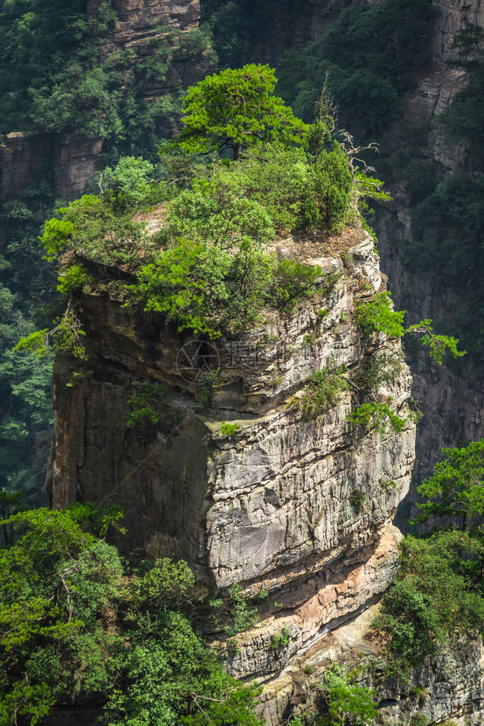 张家吉阿凡山自然公园张家杰图片