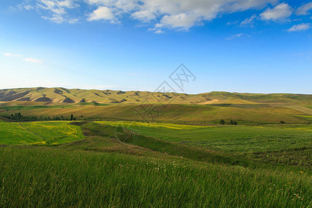 美丽的春天和夏日风景青山高图片