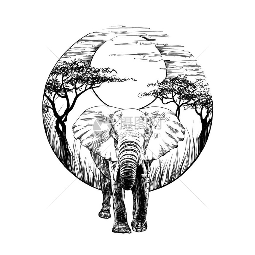 手画大象绘制白色背景原创无追踪图片