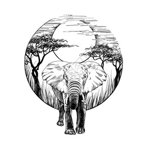手画大象绘制白色背景原创无追踪图片
