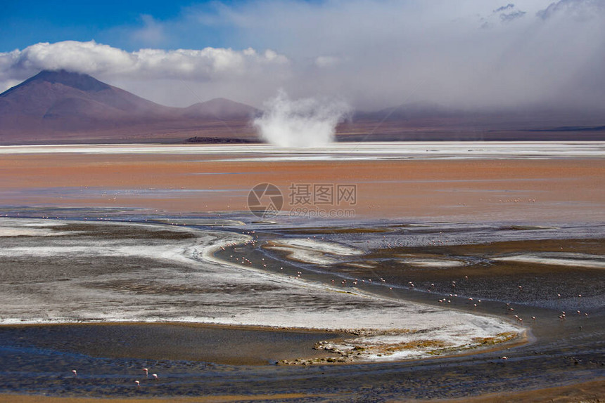 在玻利维亚波托西省玻利维亚阿尔蒂平原的LagoonColorada与粉红色一图片