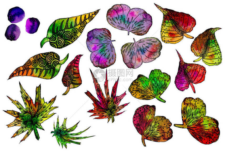 含有幻想墨水模式水彩手绘画的秋叶图案瀑布元素和蓝莓图片
