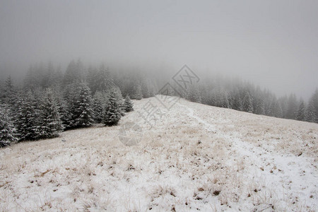 山中雾蒙的冬季景观图片