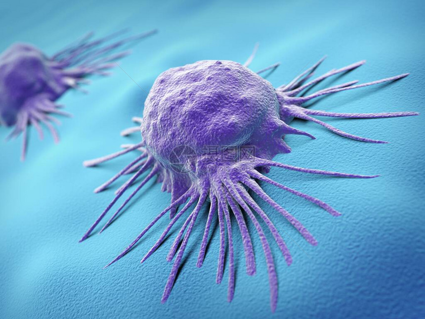 癌症细胞紫色和蓝图片