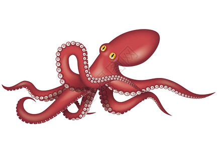 章鱼的插图海鲜图标图片
