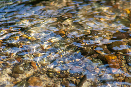 晶莹剔透的小溪水中的石块图片素材