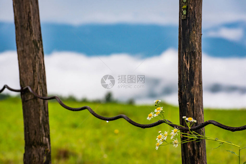 暴风雨过后夏季喀图片