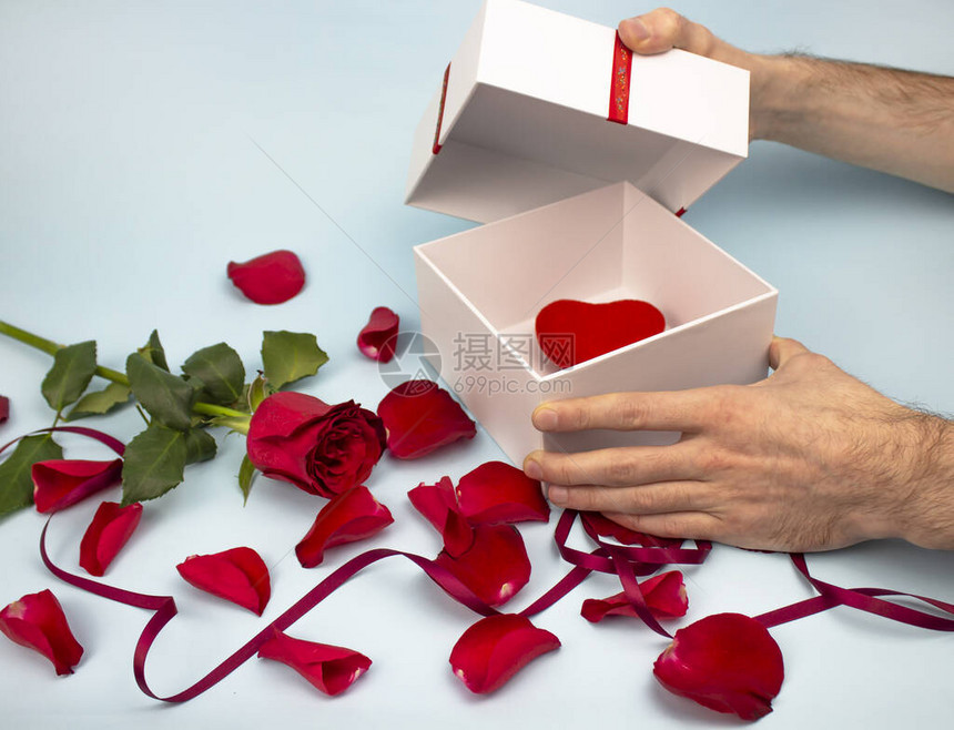 情人节概念情人节男手在红玫瑰的背景下打开了一个白色的礼品盒红色心形中间的白色礼物情人节卡片图片